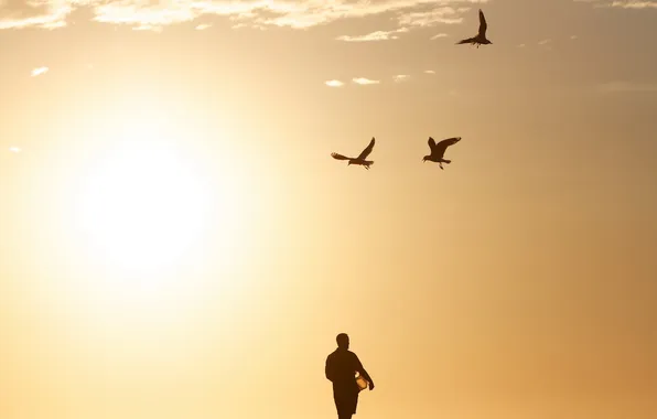 The sky, birds, people