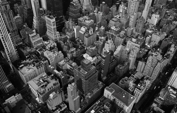 Roof, street, neighborhoods
