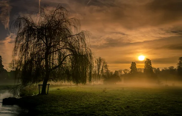 Field, sunset, fog