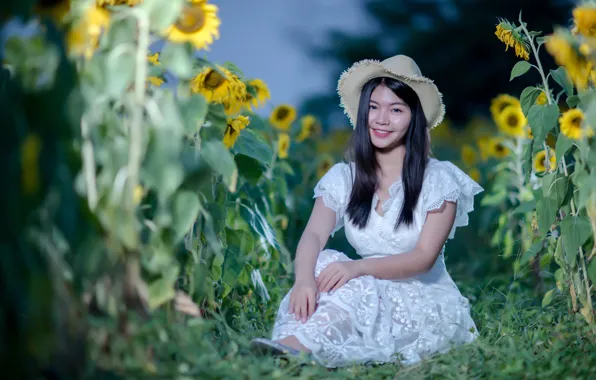 Picture field, girl, sunflowers, Asian, sitting