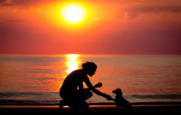 Picture sea, girl, sunset, dog, silhouette