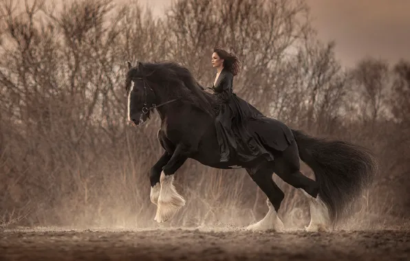 HORSE, TAIL, DRESS, MANE, Photographer Anyuta Ontikova