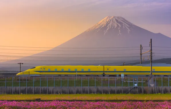 Japan, twilight, sunset, flowers, dusk, Fuji, bullet train