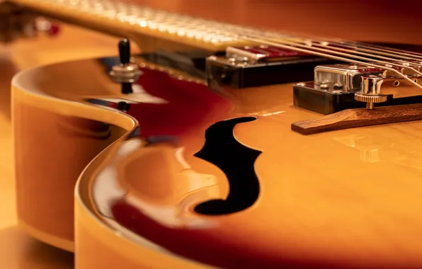 Picture macro, music, guitar