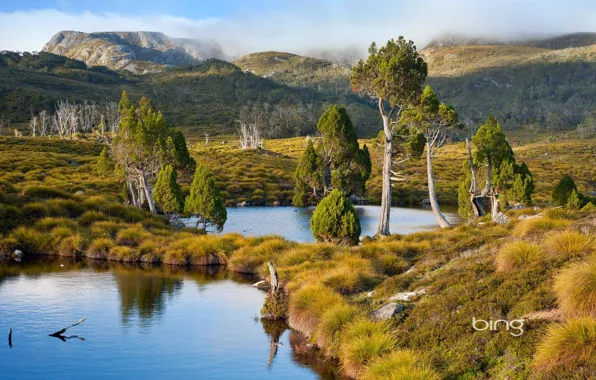 The sky, grass, trees, landscape, mountains, fog, lake
