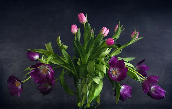 Wallpaper flowers, bouquet, Bank, tulips, pink, still life, lilac for ...