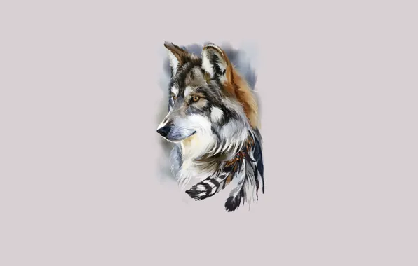 Picture face, wolf, feathers