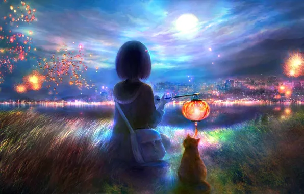 Cat, water, night, the city, flashlight, girl, fireworks