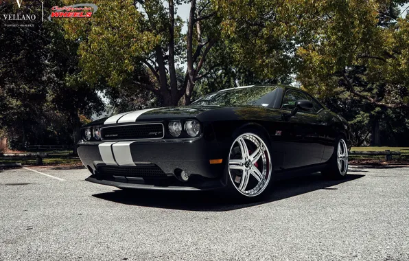 Dodge, Challenger, Vellano, standard, 061, litter