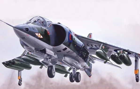 UK, fighter-bomber, Attack, Roy Cross, Raf, Harrier GR.1, Hawker Siddeley Harrier