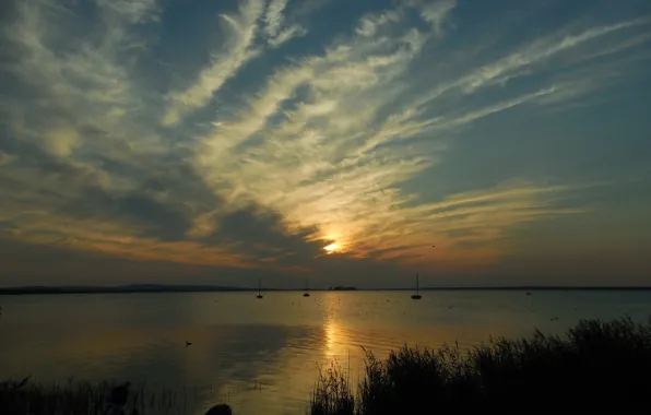 Picture sunset, Germany, Germany, sunset, Steinhude Measures, lake in Hannover, Steinhuder Meer