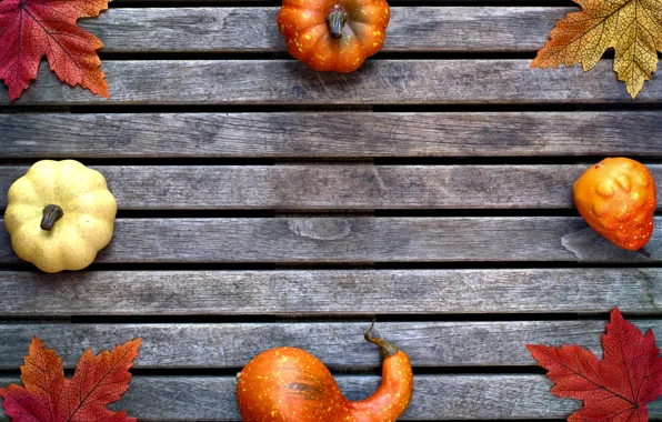 Autumn, leaves, background, tree, colorful, pumpkin, maple, wood