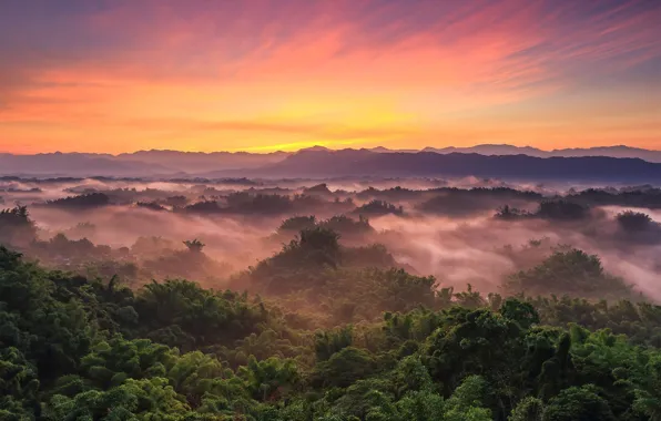 Picture forest, the sky, clouds, mountains, sunrise, haze