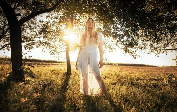 Picture look, sunset, nature, figure, blonde, beautiful, waist, curls