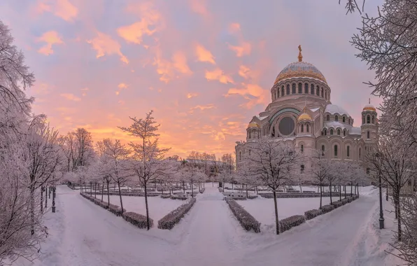 Picture morning, Park, Sergey Grigoriev, Saint Petersburg, winter, snow, trees, Kronstadt