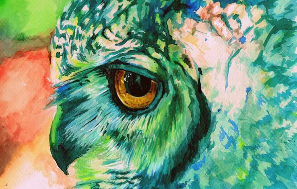 Picture owl, paint, figure