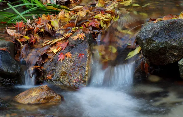 Picture autumn, leaves, river, stones, waterfall