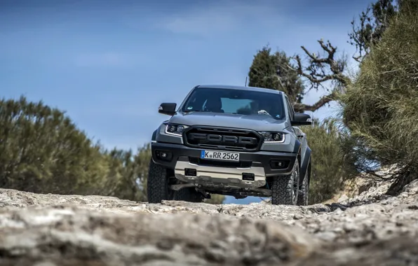 Picture the sky, stones, grey, branch, vegetation, Ford, Raptor, pickup