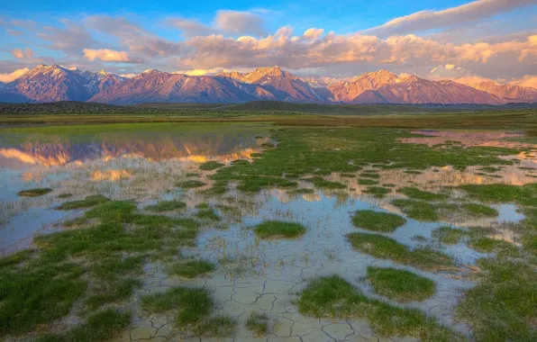 Picture grass, Mountains, puddle