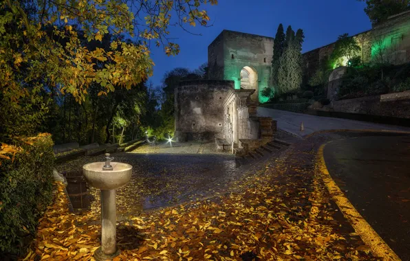 Road, autumn, leaves, trees, night, lights, wall, arch