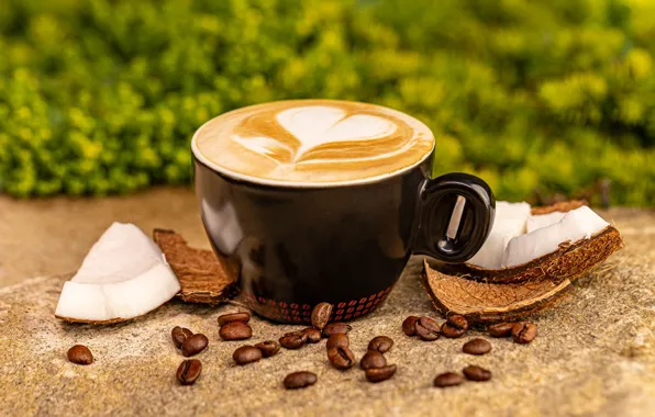 Foam, nature, heart, coffee, coconut, mug, Cup, drink