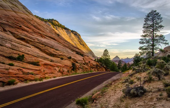 Road, trees, mountains, rocks, Utah. Summer, Leaving Zion National Park
