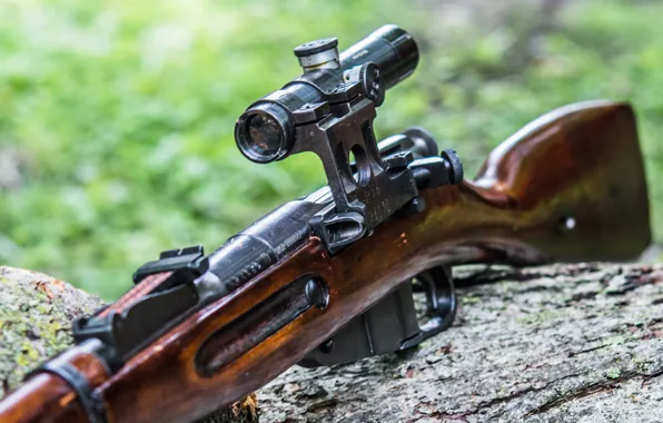 Picture rifle, sniper, Mosin, M91/30, store