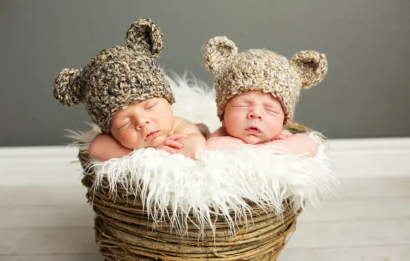 Sleep, fur, basket, beanie, sleep, babies