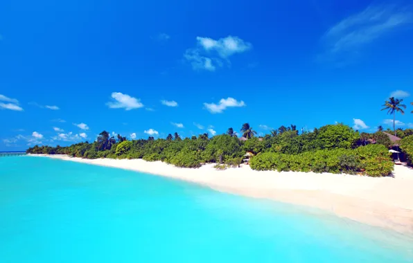 Sand, sea, beach, the sky, Palma, The Maldives, Bungalow