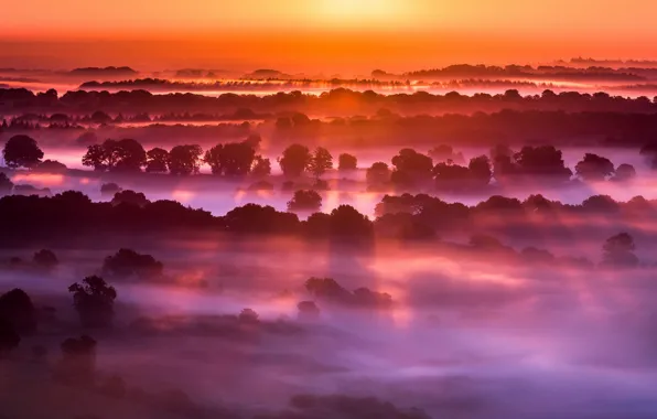 Picture field, night, fog