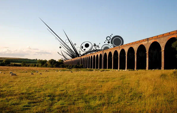 Field, landscape, bridge, sheep
