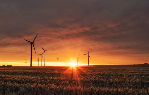 Field, the sky, grass, the sun, clouds, rays, dawn, windmills