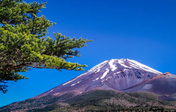 Picture landscape, mountain, the volcano, Japan, Fuji