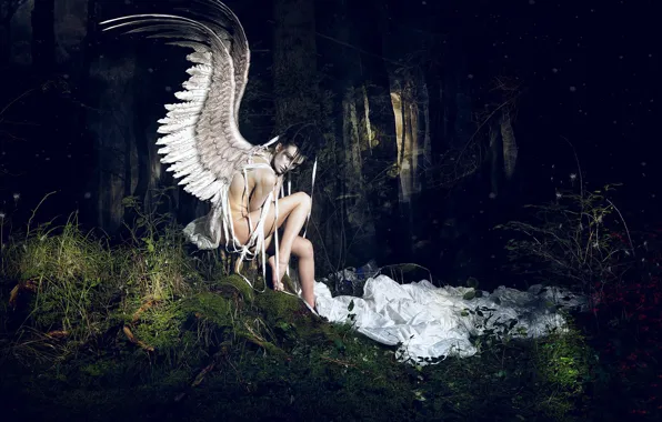 Forest, girl, pose, wings, the situation, angel, YOUR CHOICE