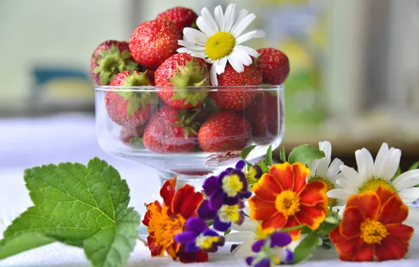 Summer, flowers, berries, Daisy, strawberry, viola, marigolds