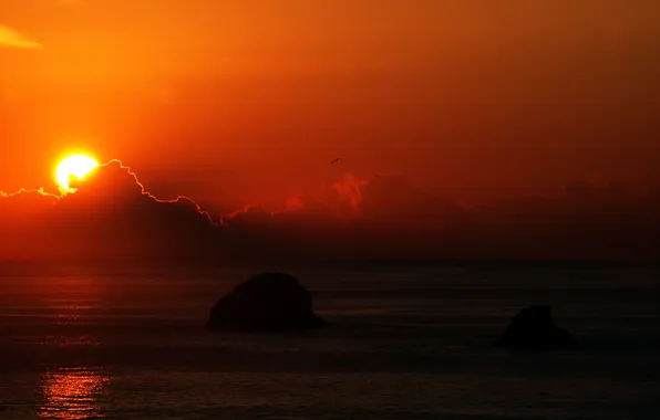 Sea, clouds, sunset, horizon, island, orange sky