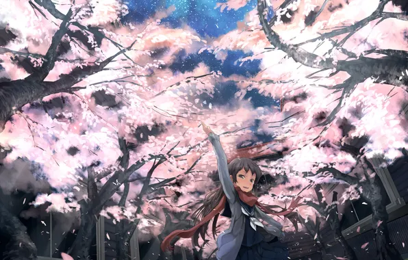 Stars, night, Sakura, yard, girl