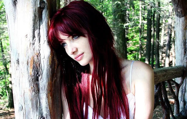 Look, reverie, tree, red, Susan Coffey, susan coffey