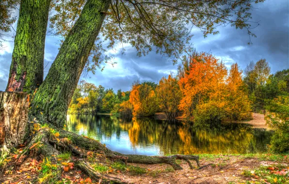 Autumn, forest, leaves, trees, river, shore, HDR