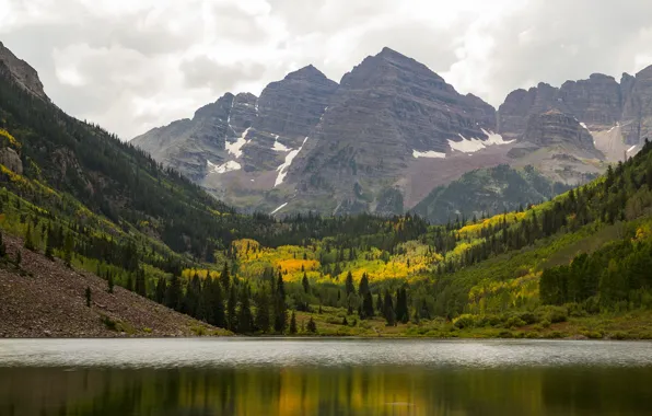 Picture forest, trees, landscape, mountains, nature, lake, valley