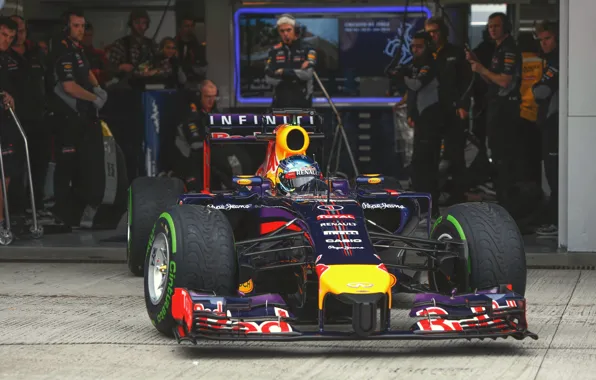 Racer, Formula 1, Vettel, Champion, Sebastian