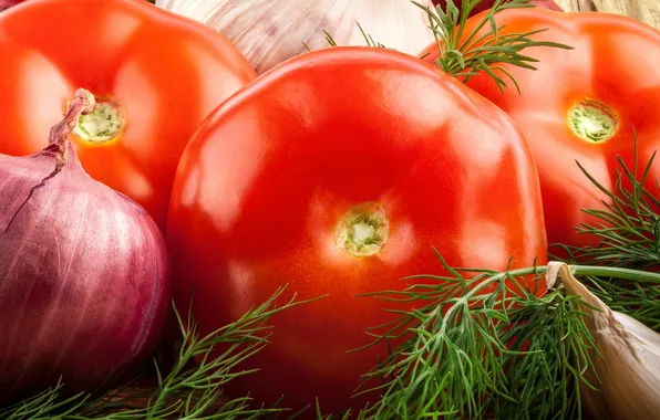 Picture bow, dill, vegetables, tomato, garlic, cabbage, tomato, cutting Board