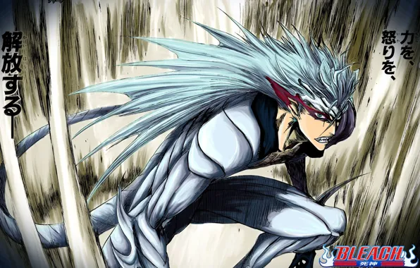 Guy, Bleach, Bleach, arancar, Grimjow