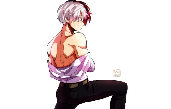 Guy, Boku no Hero Academy, My Hero Academia, Todoroki Shoto, My heroic academia, bare back