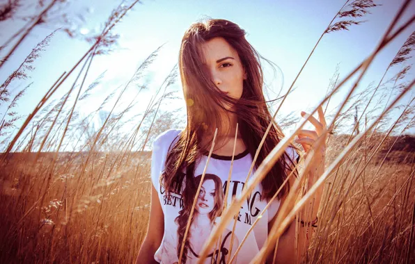 Picture field, grass, girl, the sun, makeup, t-shirt, hairstyle, brown hair