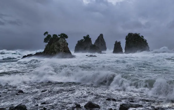 Picture sea, wave, trees, overcast, rocks, Japan
