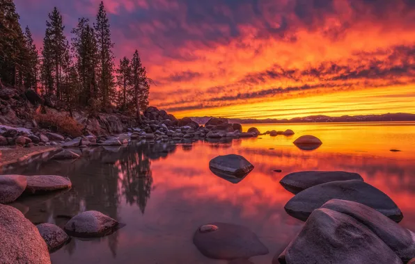 Trees, sunset, lake, stones, Nevada, Nevada, Lake Tahoe, Lake Tahoe