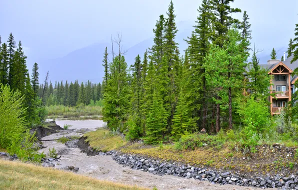 Forest, landscape, mountains, nature, river, home