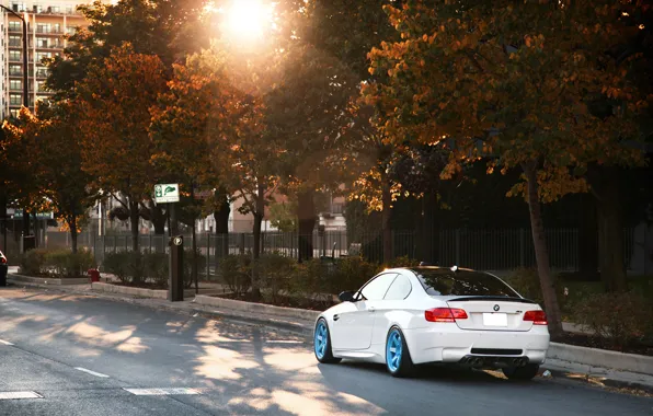 White, BMW, BMW, white, Blik, E92, IND, autumn. the sun