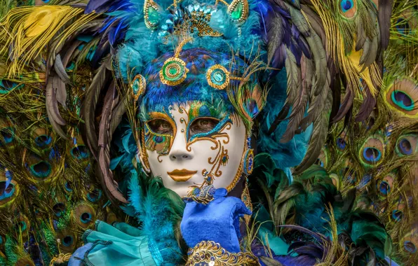 Picture feathers, mask, peacock, carnival